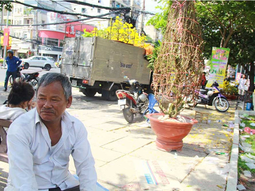 [-]Sài[-]Gòn[-]chiều[-]cuối[-]năm,[-]đào[-]mai[-]lên[-]xe[-]rác